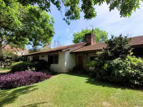 Alejandro Vitale  al 500