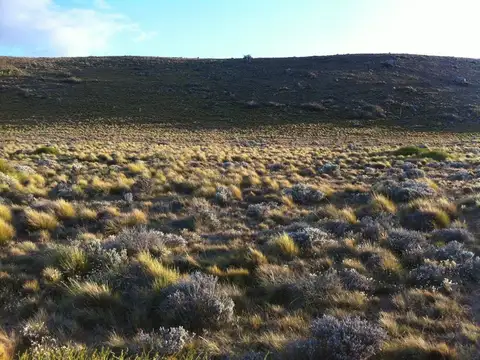 Venta Lote 6000mts en Excelente ubicacion frente al Lago en Punta Soberena