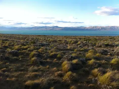 Venta Lote 6000mts en Excelente ubicacion frente al Lago en Punta Soberena