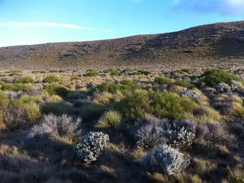 Terreno en Venta en El Calafate, USD 169.900