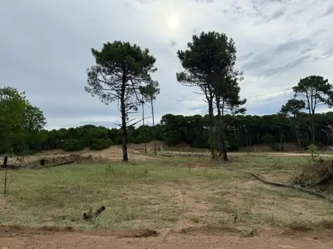 Terreno en Venta de 178,0 m2