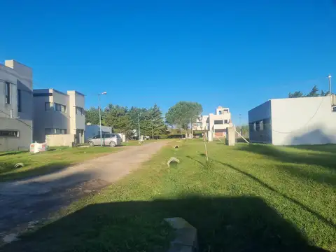 Calle 137  e/  423 y 424.