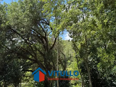 Terreno en Venta 99  mts Fondo