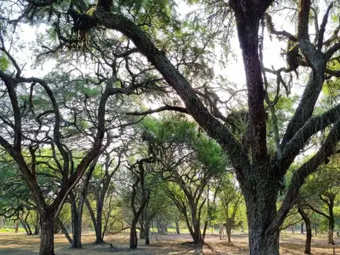 Terreno en Venta de 3962,0 m2