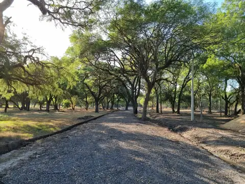 Terreno en Venta en Colonia Benitez, USD 24.000