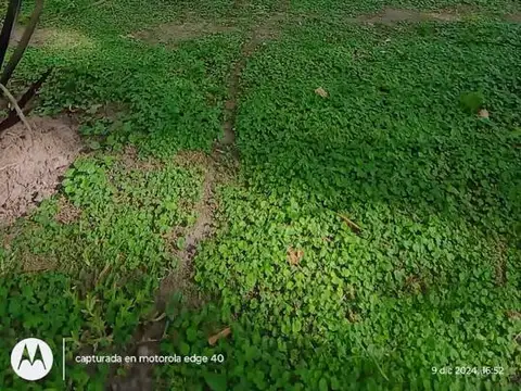 Casa en Alquiler al Este