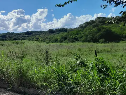 Increíble Campo de 24 Hectáreas en La Granja