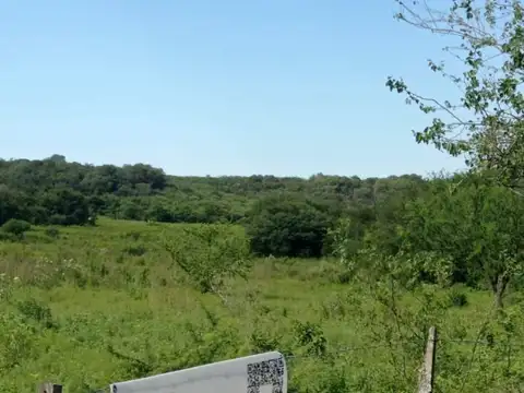 Increíble Campo de 24 Hectáreas en La Granja