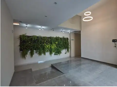 Diputado Pedrera 1600