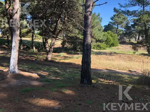 2 entre 152 y 155 Colonia Marina, Mar de las Pampas Norte