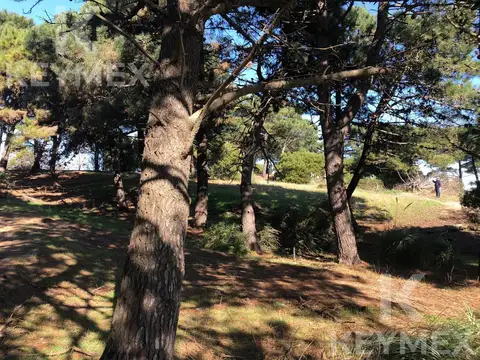 Terreno en Venta de 2741,0 m2