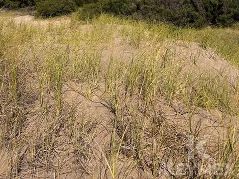 2 entre 152 y 155 Colonia Marina, Mar de las Pampas Norte