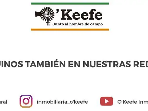 Ideal Horticultura !!!