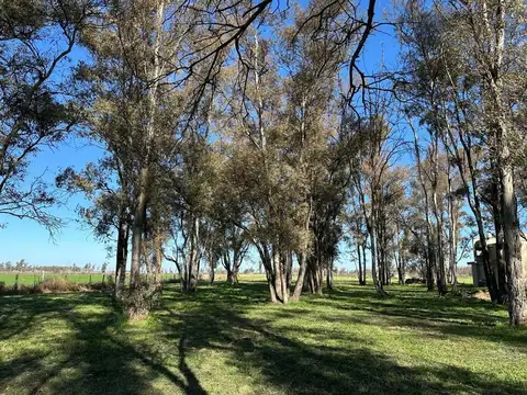 Terreno en Venta en Timbues Jose Maria, USD 80.000