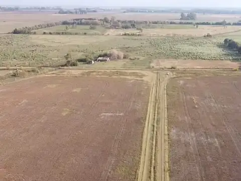 Campo en Venta de 21  ha