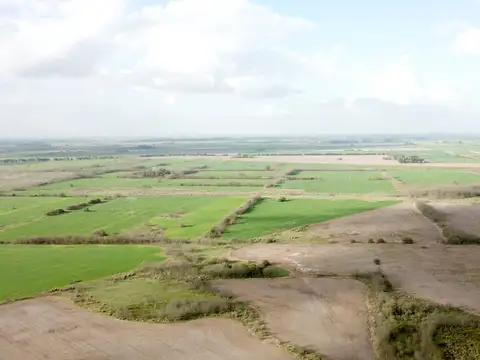 Campo en Venta Mixto