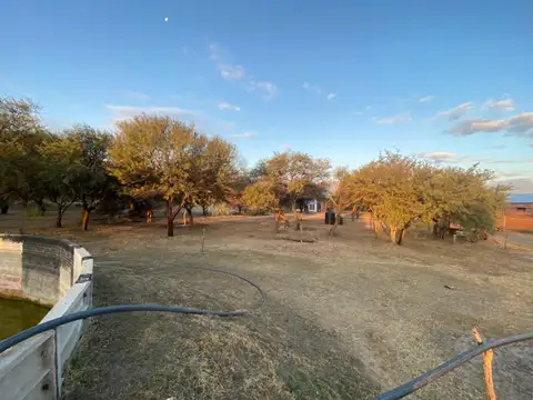 Campo en Venta de 252  ha