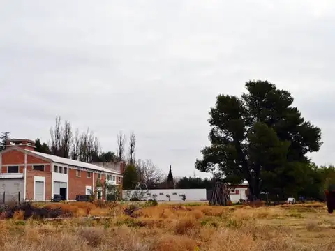 Jensen & Avenida Domingo Faustino Sarmiento 900