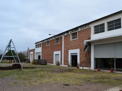 VENTA BODEGA JURI, SAN RAFAEL MENDOZA