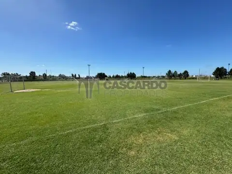 Terreno en Venta de 806,0 m2