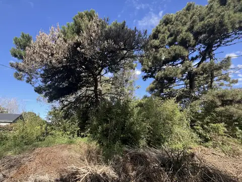 Lote Multifamiliar Hotelero a dos cuadras de la playa. Valeria del Mar. Pinamar