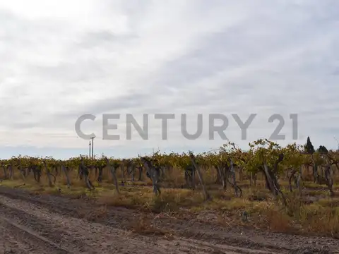 CARRIL SAN PEDRO , Piso 0