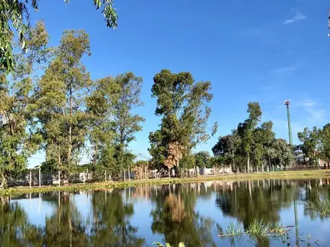 Terreno en Venta de 555,0 m2