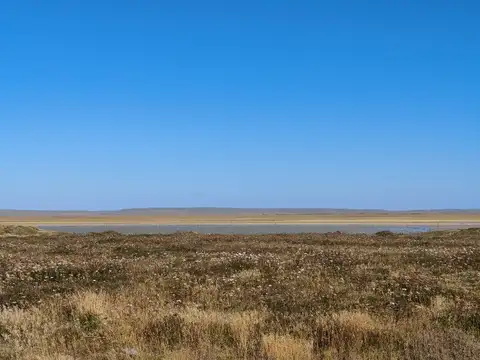 Terreno en Venta 20  mts Fondo