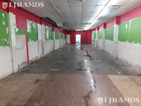 Local - Constitución