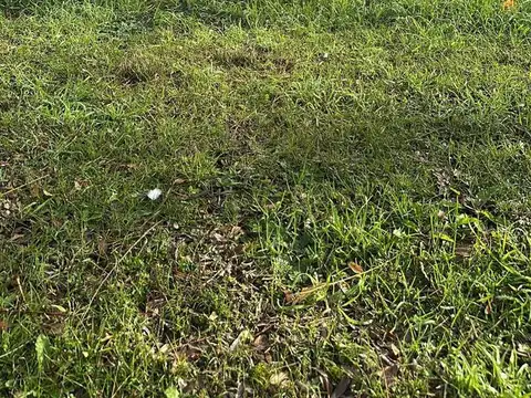 Terreno en Venta de 1309,0 m2