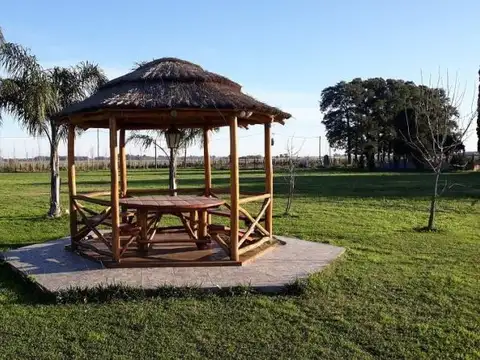 Retasado - 6 hectáreas | Campo | Camino vecinal