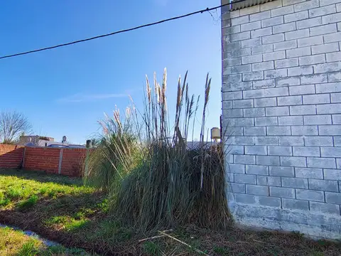 Galpon en Venta 8  mts Frente