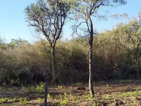 Terreno en Venta de 3000,0 m2