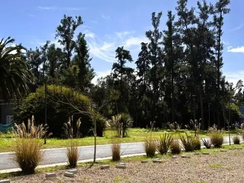 Terreno en Venta de 400,0 m2