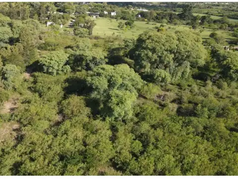 Terreno en Venta 39  mts Frente