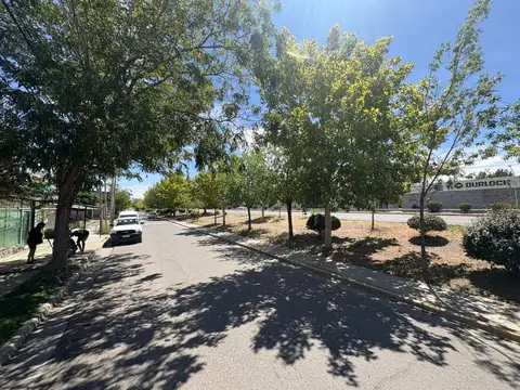 Local en Alquiler 16 años