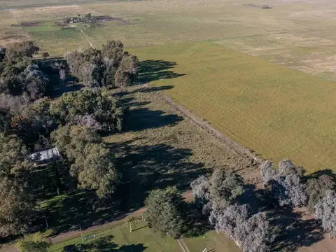 Terreno en Venta en Alejandro Korn, USD 10.000