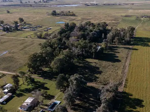 Terreno en Venta en Alejandro Korn, USD 10.000