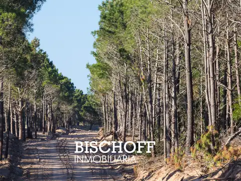 VENTA DE LOTE BARRIO BRISAS VILLA ROBLES