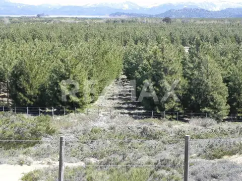 VENTA LOTE DE 8.298 M2 EN VILLA PEHUENIA