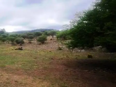 Excelente campo en Riocito, para no perder, bien turistico, con rio que lo bordea en su totalidad.