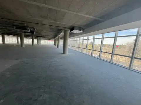 Oficina en Alquiler A Estrenar