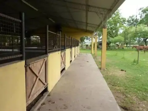 Campo en Venta - Carlos Keen