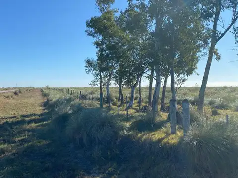 Ruta Provincial 13 y Laguna del Palmar