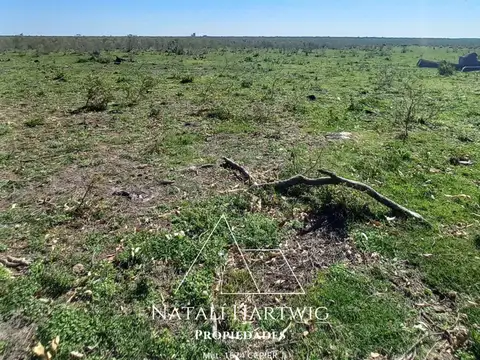 Campo 1010has! Chajari