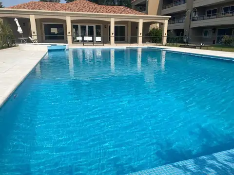 Liquidambar Duplex 100