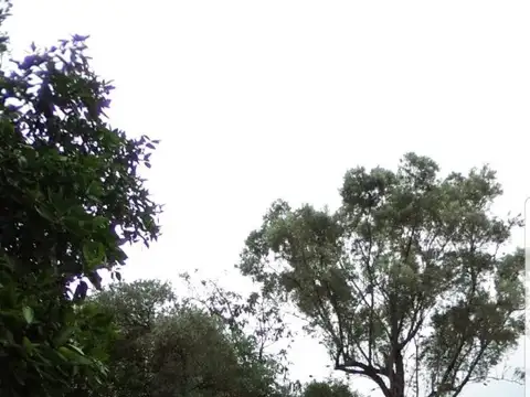 OPORTUNIDAD!CASA  PADUA SUR  CASA DE A REMODELAR C/ INCREIBLE LOTE 10 X 62   PARQUIZADO, CASA 80M2