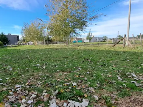 DOMSELAAR CHICO, CLUB DE CAMPO