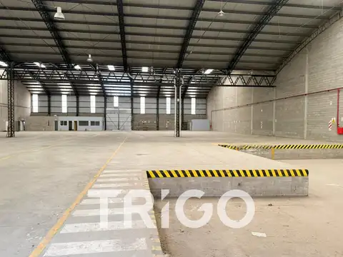 Galpon en Alquiler 60  mts Fondo