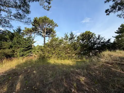 AVENIDA BUENOS AIRES Y ALAMEDA 221 – ACCESO NORTE